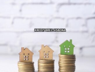 Kredit brez SISBONA