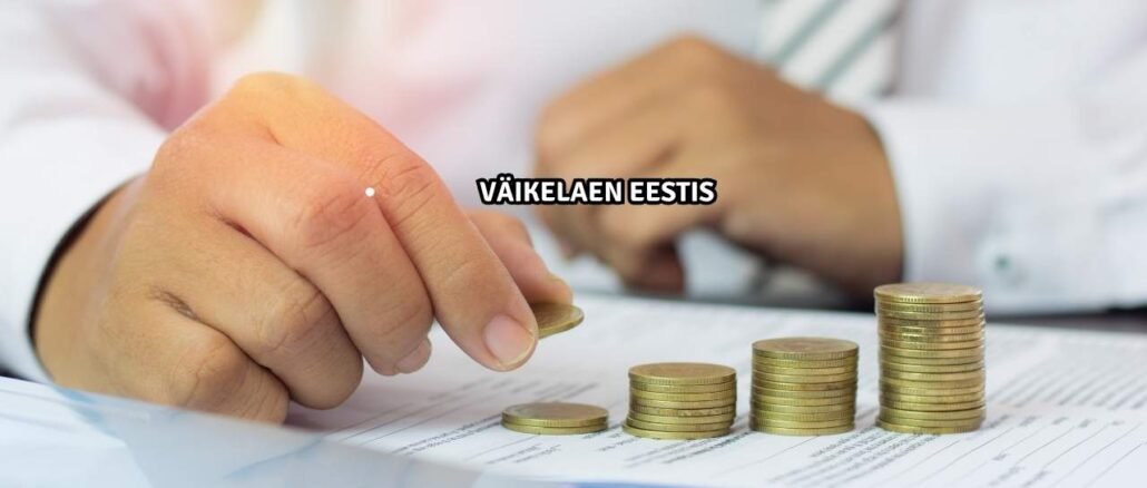 Väikelaen Eestis