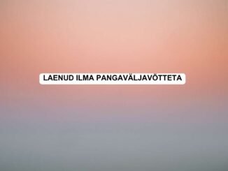 laenud ilma pangaväljavõtteta