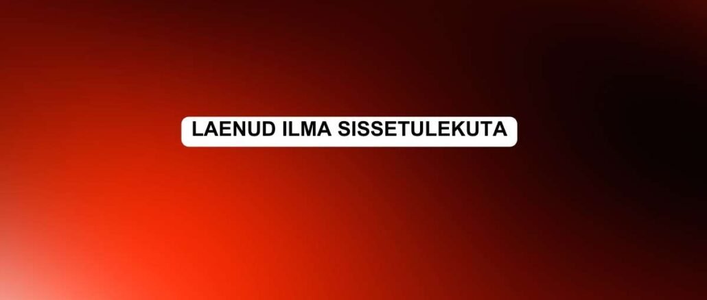 laenud ilma sissetulekuta