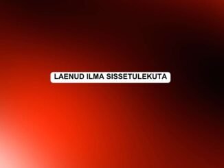 laenud ilma sissetulekuta